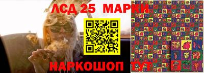 индика Кандалакша
